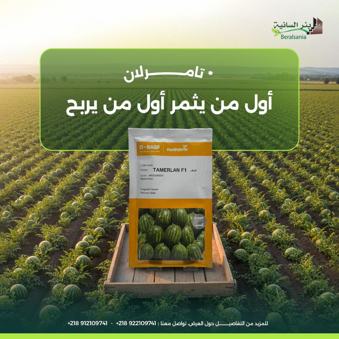 صورة رقم 14 من الحقول